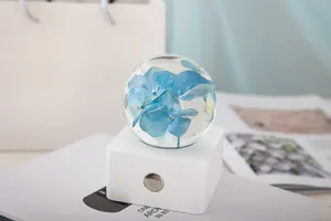 Vue détaillée d'une hortensia bleue dans une veilleuse boule de cristal transparente.