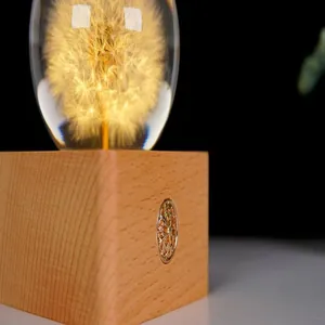 Macro view of a dandelion specimen night light with natural wooden base texture