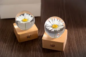 Close-up detail of a real daisy flower preserved in a crystal ball touch night light