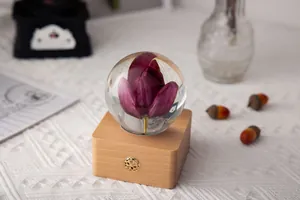 Elegant preserved tulip flower crystal ball night light with premium wooden base