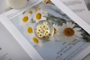 Close-up of crystal ball with dried daisy flowers on a floral magazine background