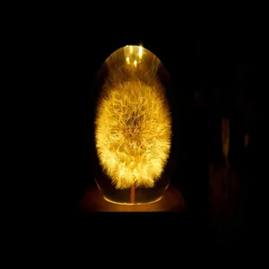 Glowing dandelion specimen preserved in resin egg lamp detail