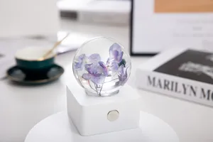 Veilleuse boule de cristal élégante avec fleurs d'hortensia sur socle blanc