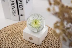Detailed view of Nigella flower specimen inside a crystal ball night light on a white base