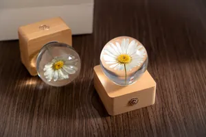 Detailed view of daisy preserved flower crystal ball with a natural wooden base