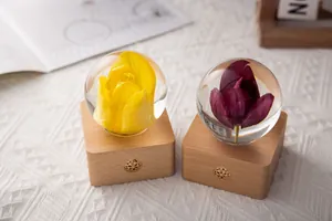 Pair of tulip specimen flower crystal ball night lights on minimalist square wooden bases.