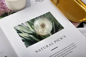 Detailed macro shot of a real dandelion flower preserved in a clear crystal ball