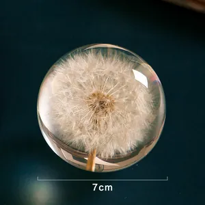 Detailed macro view of a 7cm dandelion crystal ball with realistic flower texture