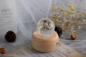 Detailansicht der im Kristallkugel-Musikdose erhaltenen Löwenzähne mit Holzsockel