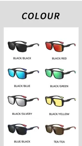 Selection of large frame polarized sports sunglasses in 8 varied color combinations.