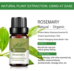 Spécifications complètes et avantages de 10 ml d'huile de romarin pure pour les cheveux.