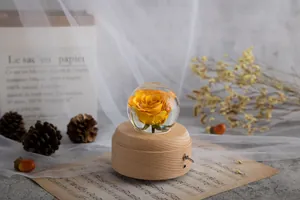 Detailansicht der konservierten gelben Rose in Kristallkugel Spieluhr mit Holzsockel