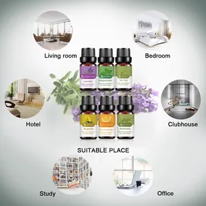 Coffret de six huiles essentielles pures de 10 ml pour divers scénarios d'intérieur