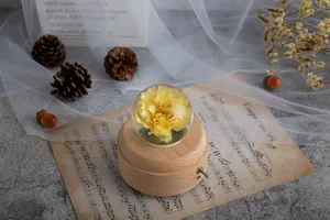 Makro-Detail einer konservierten gelben Blume in einer Glaskristallkugel-Spieluhr