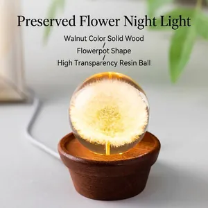 Dandelion Resin Crystal Ball Night Light Real Dried Flower Eternal Bloom Table Lamp With USB Solid Wood Base Desk Decor Gift