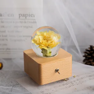 Detail einer konservierten gelben Blume in einer Kristallkugel-Spieluhr mit Holzsockel