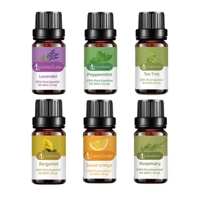 Lot de 6 huiles essentielles d'aromathérapie pures dont lavande en flacons de 10 ml