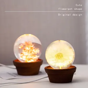 Decorative dandelion crystal ball night light with warm LED and walnut flowerpot wood base