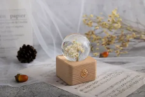 Nahaufnahme einer Pusteblume in einer Kristallkugel auf einem hölzernen Spieluhrensockel