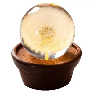 Elegant preserved dandelion crystal ball night light with a warm walnut wood base gift