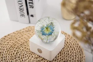Detailed view of Nigella flower specimen in a crystal ball night light