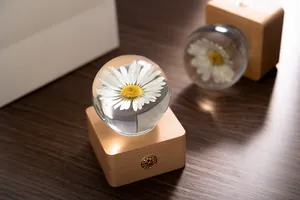 Close-up of a preserved daisy flower crystal ball night light on a natural wood base
