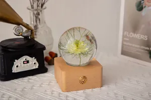 Close-up view of a Nigella flower specimen inside a transparent crystal ball night light