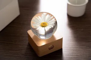 Close-up of preserved white daisy in a crystal ball night light on a wooden base.