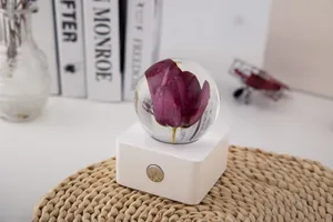 Detailed view of a crystal ball night light with a preserved purple tulip specimen inside.