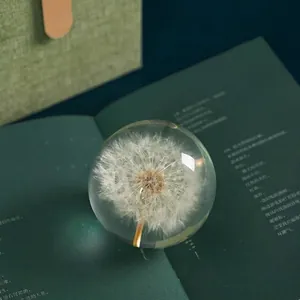 Authentic dandelion flower crystal ball decorative gift with elegant green background