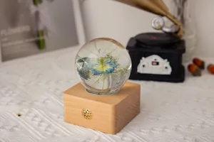 Detailed macro view of Nigella flower crystal ball night light on a minimalist wooden base