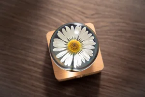 Close-up of a preserved white daisy inside a crystal sphere night light with wood base