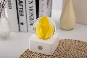 Detailed close-up of a yellow tulip flower specimen night light on a white base