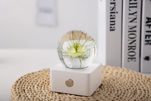 Detailed view of nigella damascena flower specimen inside a crystal ball night light.