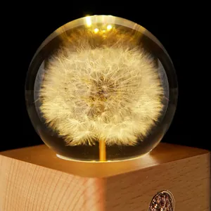 Enchanting dandelion specimen crystal ball LED night light on a warm wooden base