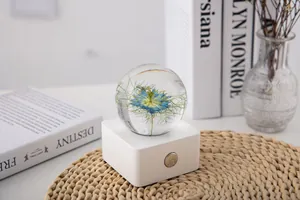 Macro view of Nigella flower specimen inside a crystal ball night light on white base