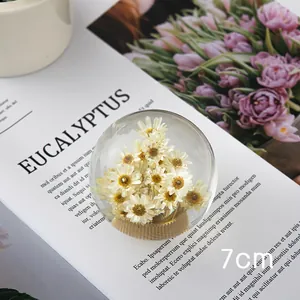 Elegant clear crystal ball with dried daisy flowers shown on a magazine background, 7cm