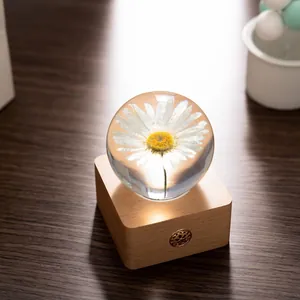 Daisy preserved flower crystal ball night light on natural wooden base with touch sensor