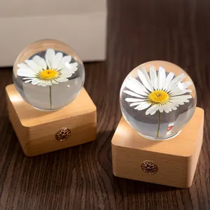 Real preserved daisy flower crystal ball night light on wooden touch-controlled base