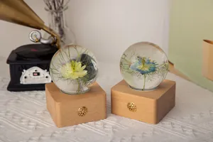 Close-up of Nigella dried flower crystal ball night lights with elegant wooden bases