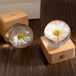 Wooden base daisy preserved flower crystal ball night light creative gift for home decor