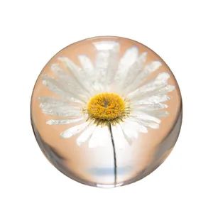 Elegant crystal ball preserved white daisy flower lamp for creative home decor gift