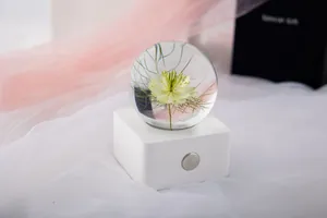 Nigella damascena specimen crystal ball night light with a white touch sensor base.