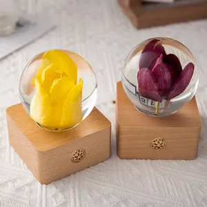 Rechargeable preserved tulip flower crystal ball night light on wooden base, set of 2