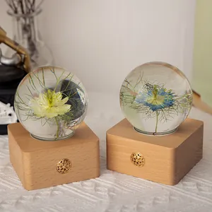 Elegant Nigella flower specimen crystal ball night light with wooden base, rechargeable