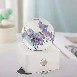 Veilleuse boule de cristal avec hortensias séchés et socle à commande tactile blanc