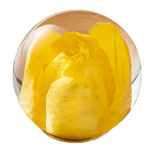 Elegant yellow tulip flower specimen in a clear crystal ball rechargeable night light