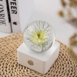 Creative Nigella flower specimen crystal ball night light with touch charging base