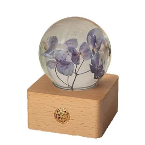 Veilleuse boule de cristal rechargeable avec hortensia séché sur socle en bois