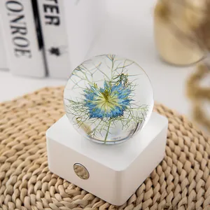 Crystal ball night light with blue Nigella flower specimen and touch sensor base